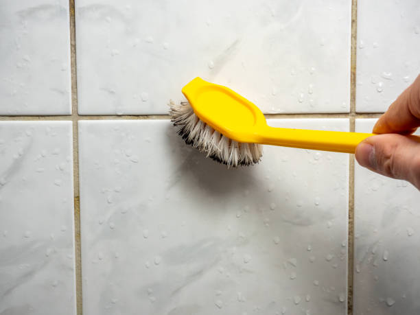 Best Insurance-Related Mold Remediation in Kitty Hawk, NC