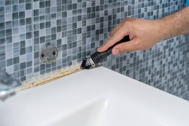 Best Mold Remediation for Specific Building Types in Kitty Hawk, NC